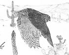 Silent Flight - Great Horned Owl.jpg