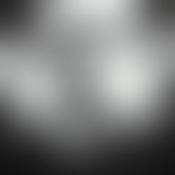 The Big Apple's Big (and small) Bands