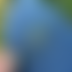 Watch for Stink Bugs in Saskatchewan Crops