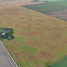 How Can Variable Rate Fertility Benefit Your Farm?