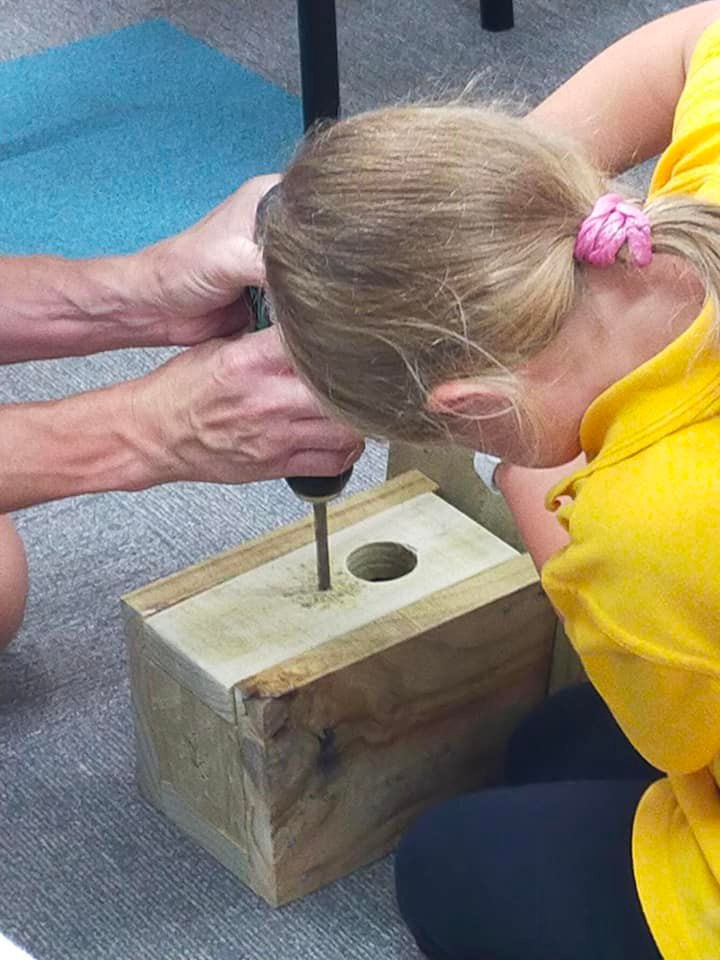 Why not create a bird house for the garden!
