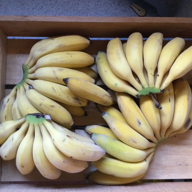 Yes, we grow bananas too!