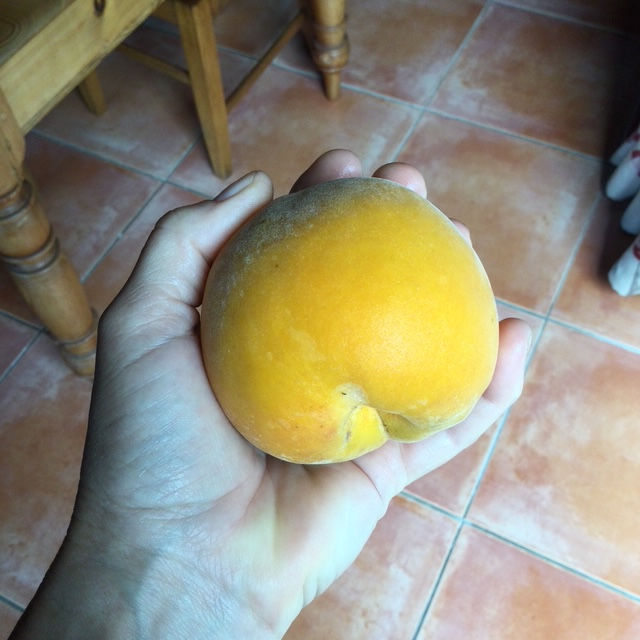 You can't beat the taste of a summer-ripened Golden Queen peach, straight off your own tree!