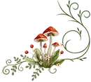 Website Mushroom Swirl (1).png