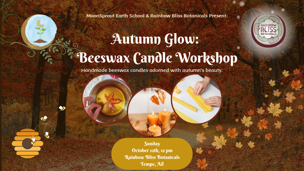 ✨️🍁 Autumn Glow: Beeswax Candle Workshop 🍁✨️