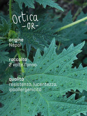 ortica -or-