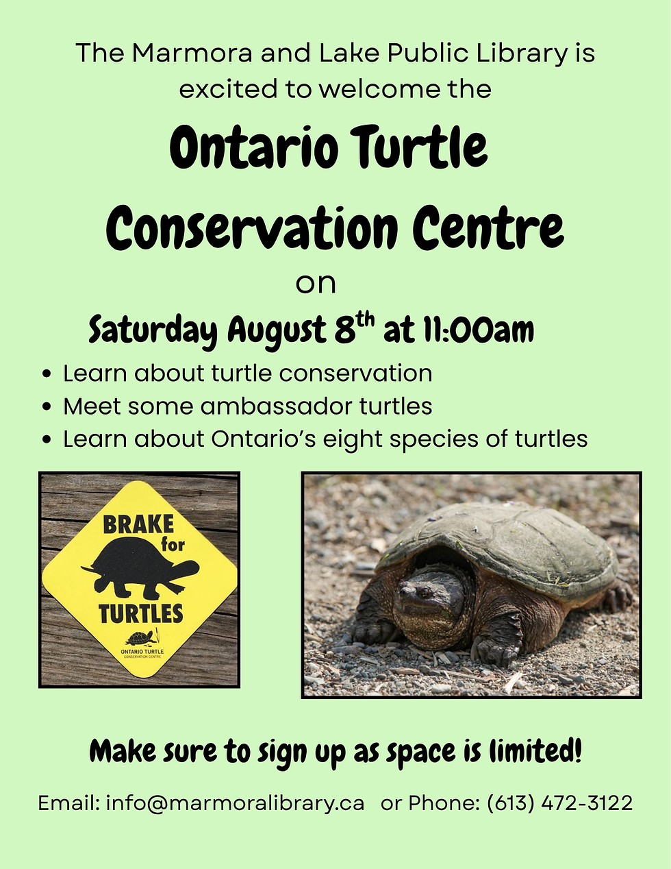 Ontario Turtle Conservation Centre Visit
