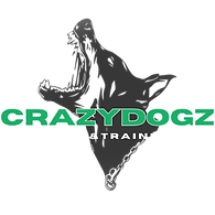 Logo CrazyDogz: pies, szkolenie i tresura
