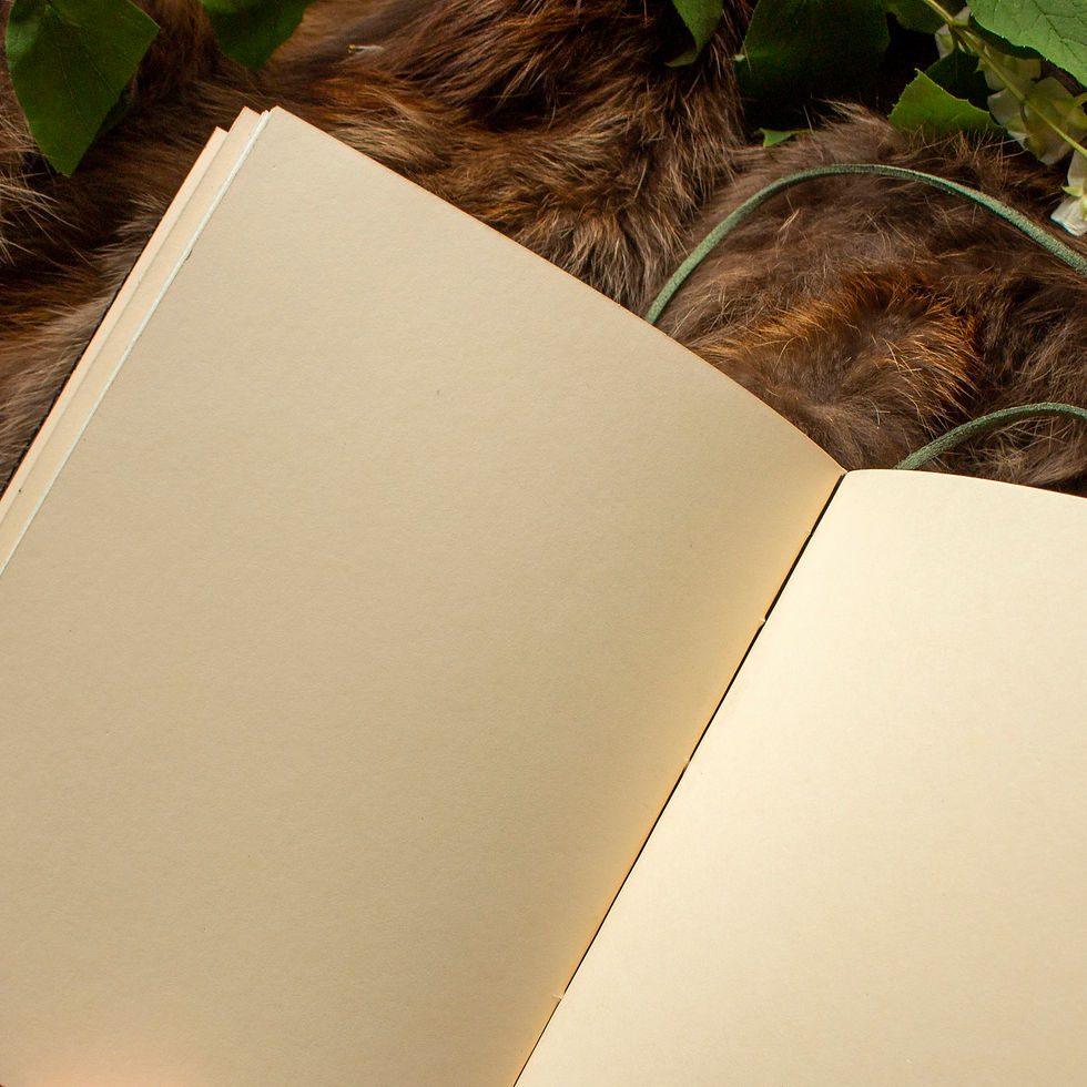 Miniatură: Jurnal piele mediu