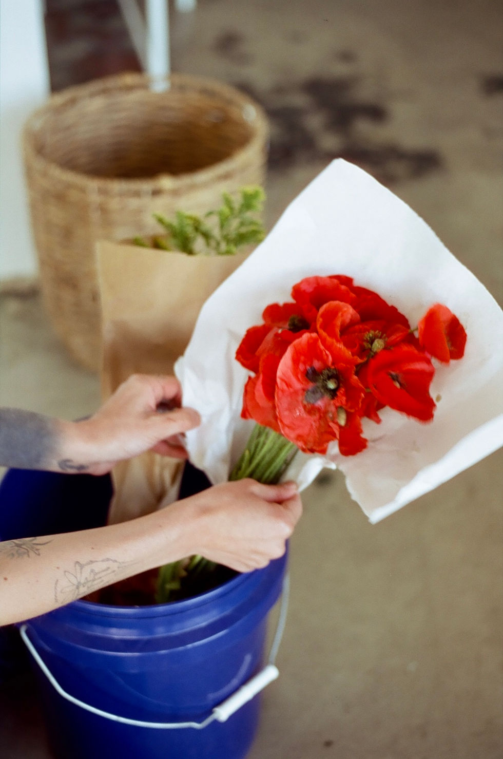 photo apr 25 2023, 12 18 34 pm (8)