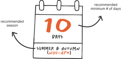 calendar green nz.png