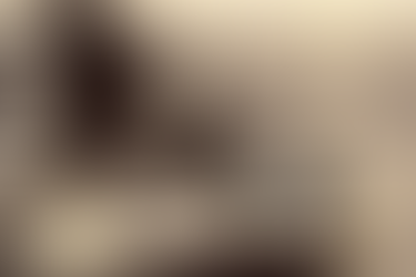 Анджела Сайни: Возвращение расовой науки. Часть 3: Биоразнообразие человека