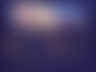 Texas and Florida Halt New H-1B petitions