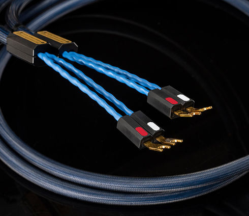 Siltech Royal Single Crown Speak
