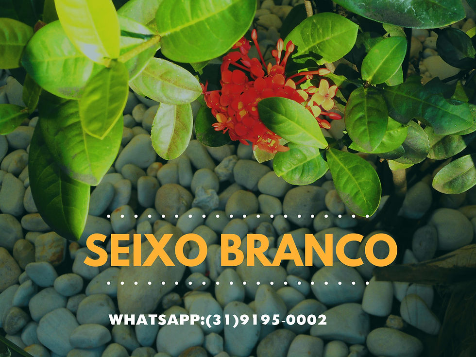 Seixo _ Montes _ Claro