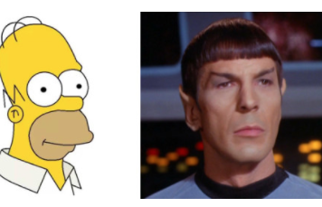 Homer Simpson or Spock: What Type of Investor Are You?