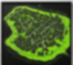 two village maps become one neon green on black background, artistic.jpg