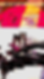 05_GlitchlynBridge_M.png