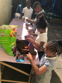 Photo 26-06-2018, 16 52 41.jpg