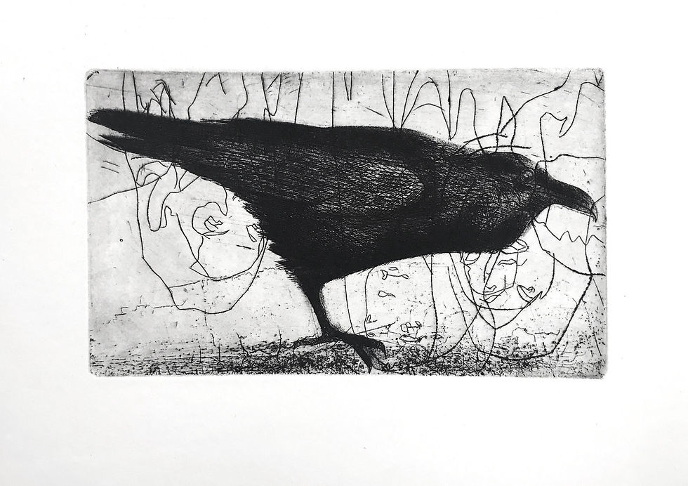 Crow, from Bestiary, etching, 4 3/8 × 7 3/8 ", 2019