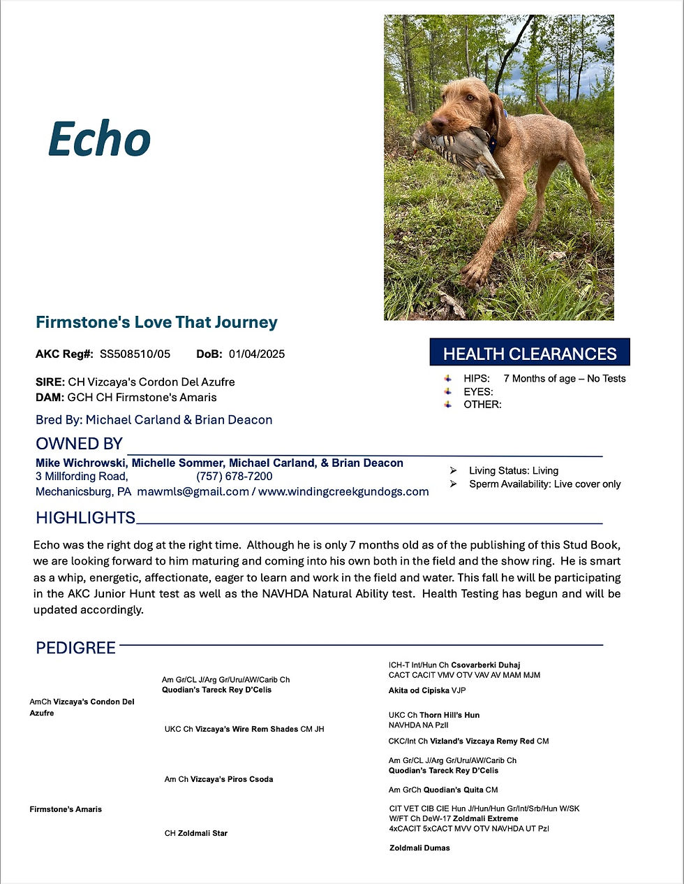 15 Echo
