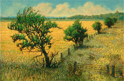 FIELD NEAR BRADFORD (nfs) 24X36