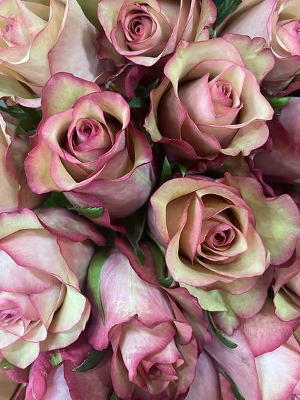 Hand Picked Roses About Us | The Tokoza Group