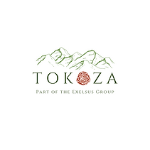 Tokoza Logo Final (10).png