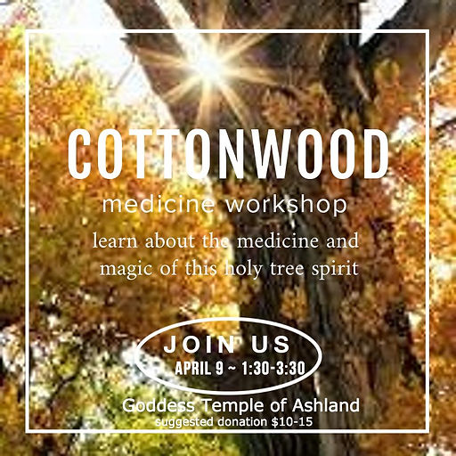 cottonwood workshop flyer 2.jpg