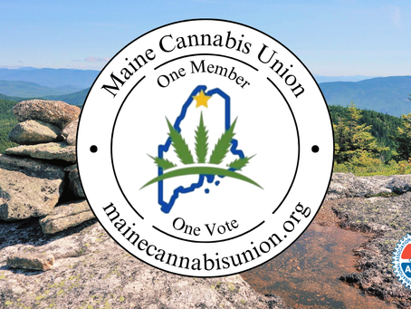 MCUA Refresh in 2025