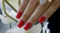Complemento da Beleza Feminina