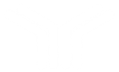 logo lineas blanco-09.png