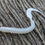 Thumbnail: Ribbon Worm