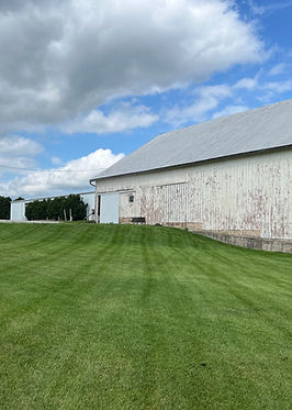 Lawn image stripes