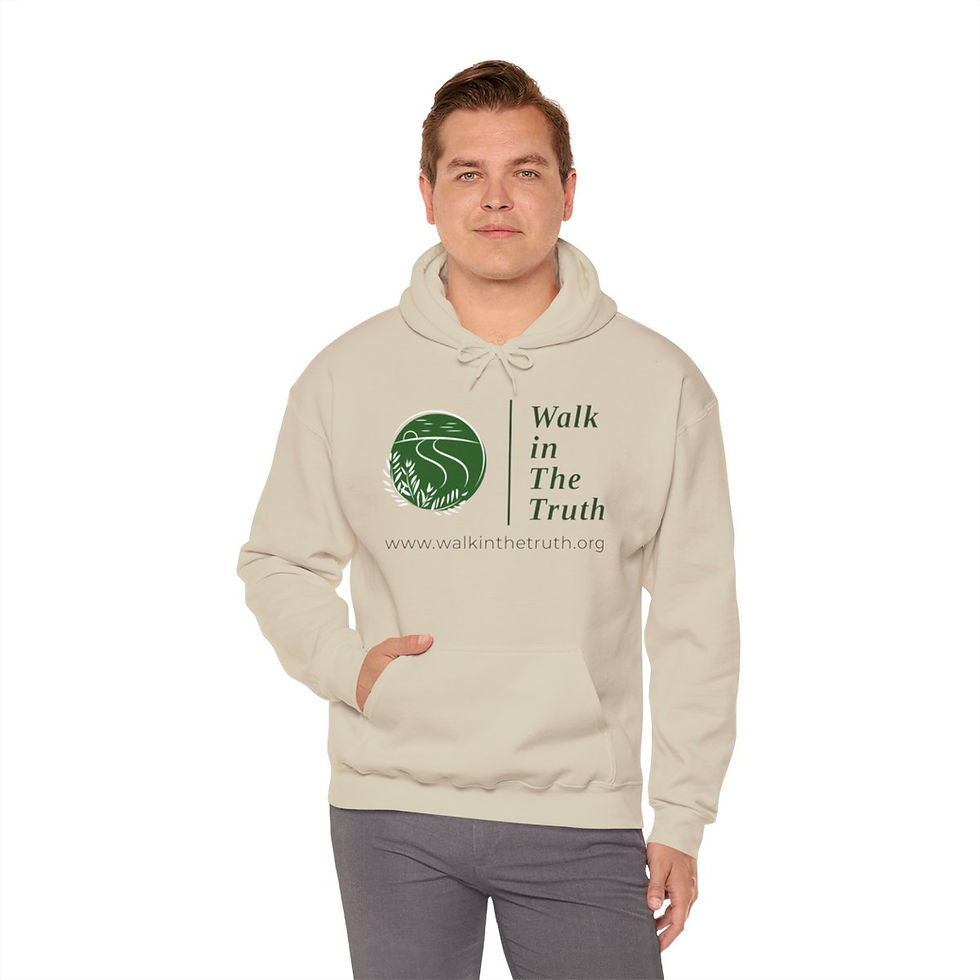 Thumbnail: WitT Logo Unisex Heavy Blend™ Hooded Sweatshirt