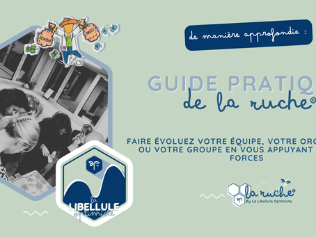 De Manière Approfondie : Faire évoluez votre équipe, votre organisation ou votre groupe en vous appuyant sur vos forces grâce à la Ruche