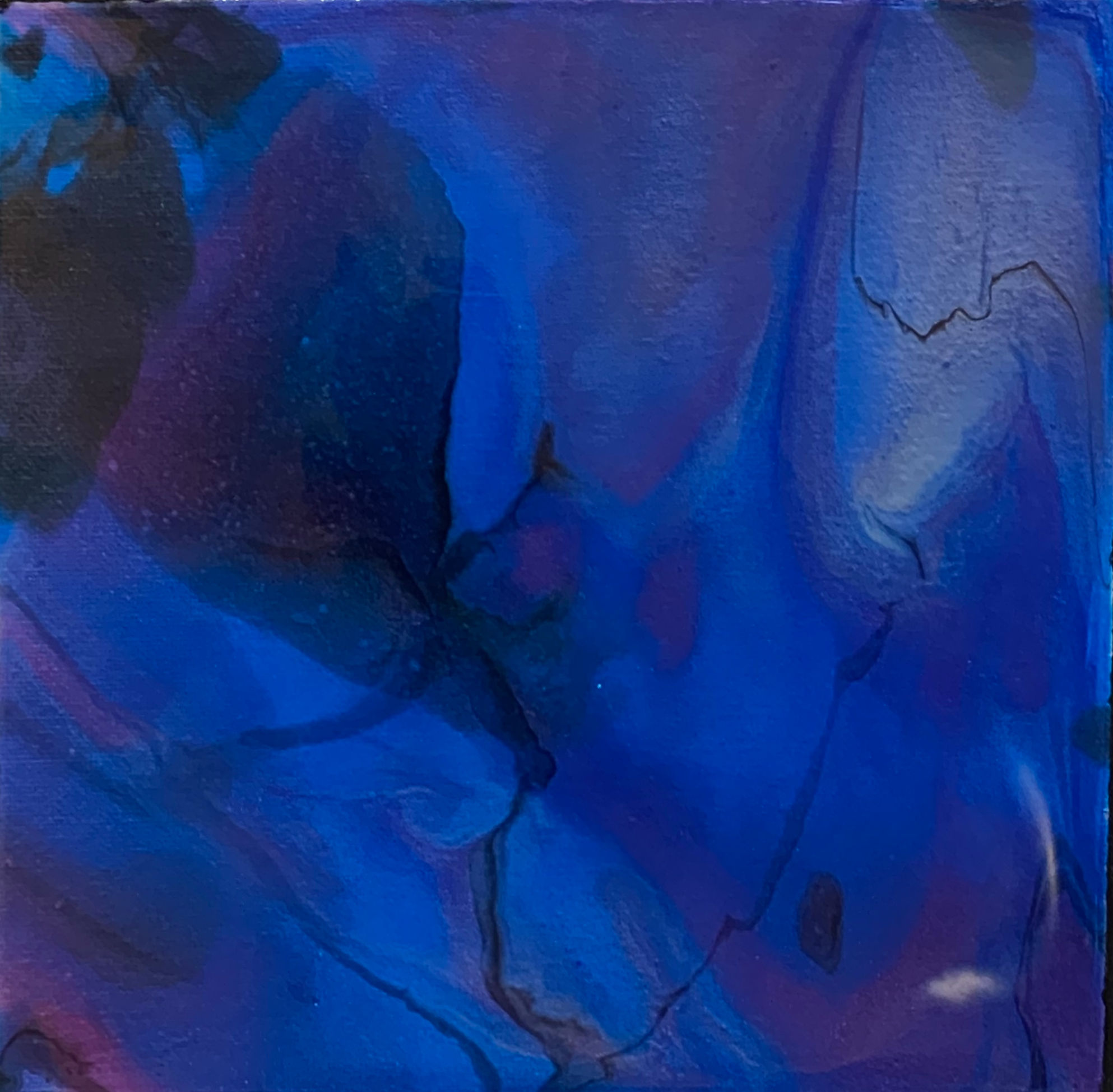 "Black Widow" - Resin Fluid Pour 8x8