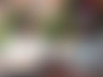 KAMPALA DECIDES IT’S NEXT LORD MAYOR