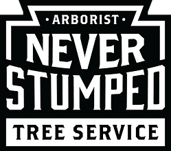 NeverStumped