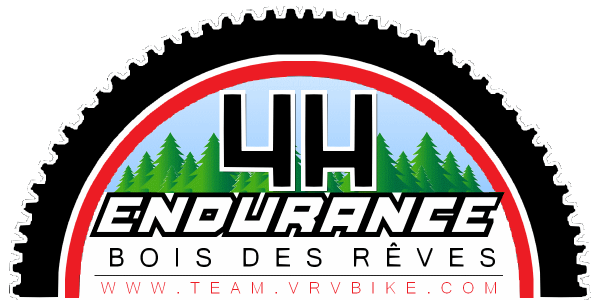 Endurance 4H VRV Bike