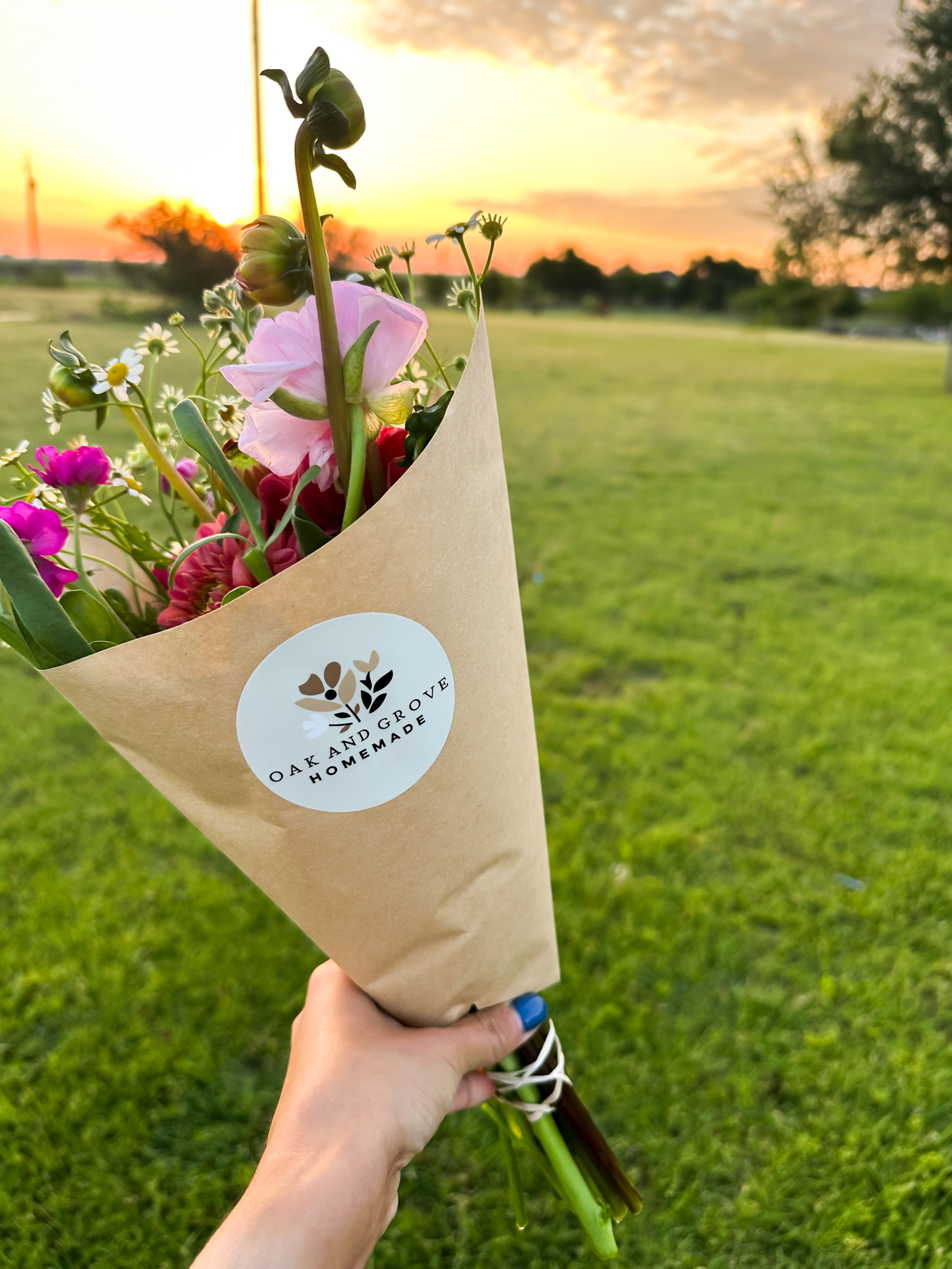 Spring 2026 Subscription