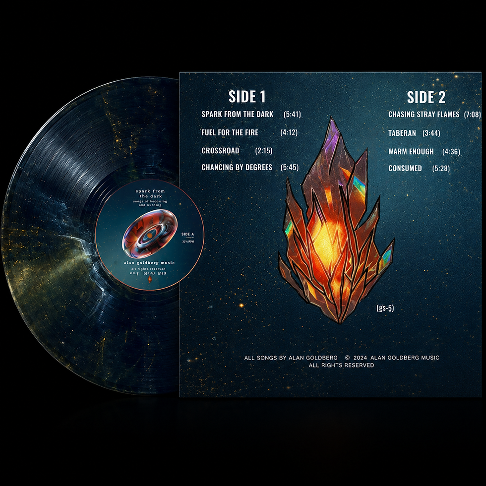 FFTF BACK COVER VINYL BLACK 2.png