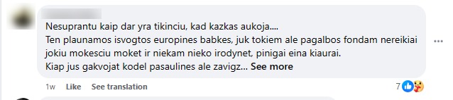 Facebook komentaro pavyzdys