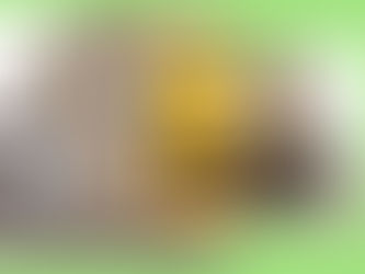 I Spy With My Little Eye...