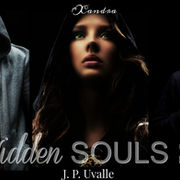 The Hidden Souls Series Publiversary Giveaway!