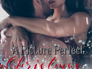 ୨୧ A Picture Perfect Christmas ୨୧⋆