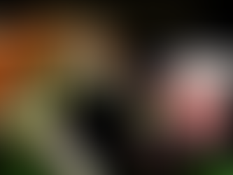 🍁 𝕊𝕙𝕚𝕗𝕥𝕖𝕣𝕤 𝕒𝕣𝕖 𝕒 𝕘𝕚𝕣𝕝'𝕤 𝕓𝕖𝕤𝕥 𝕗𝕣𝕚𝕖𝕟𝕕. 🌻 🍁