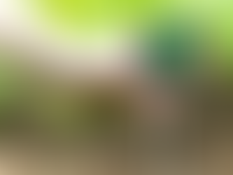 Hand holding a digital soil tester measuring moisture and temperature in a garden bed with young plants.