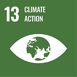UN Sustainable Development Goal 13 icon for Climate Action, featuring a green background with an eye-shaped graphic and Earth illustration.