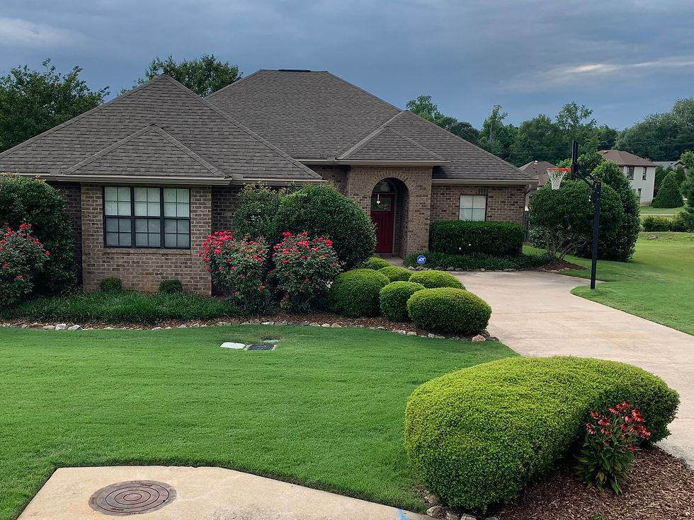 Neatly maintained residential front lawn with vibrant shrubs and a brick house in Auburn, AL — RIP Landscapes lawn care services.